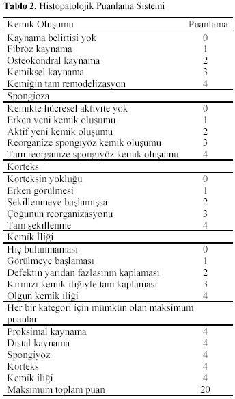 Table 2