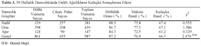 Table 3