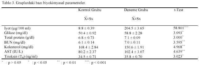 Table 3