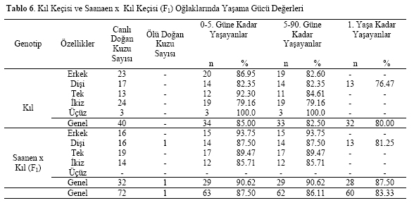 Table 6