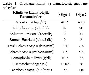 Table 1