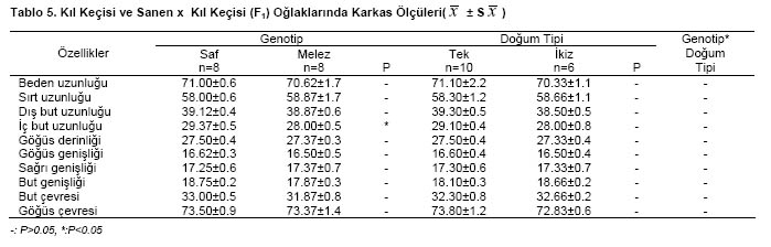 Table 5