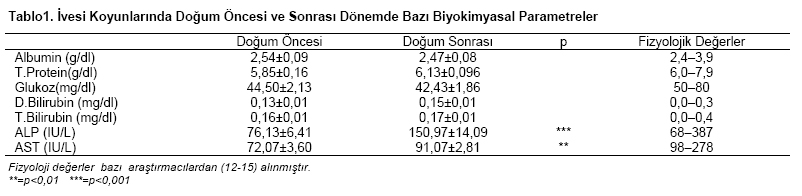 Table 1