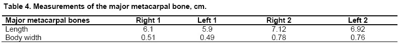 Table 4