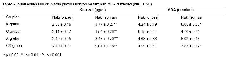 Table 2
