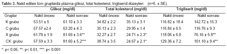 Table 3
