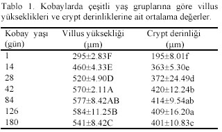 Table 1