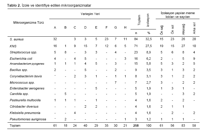 Table 2