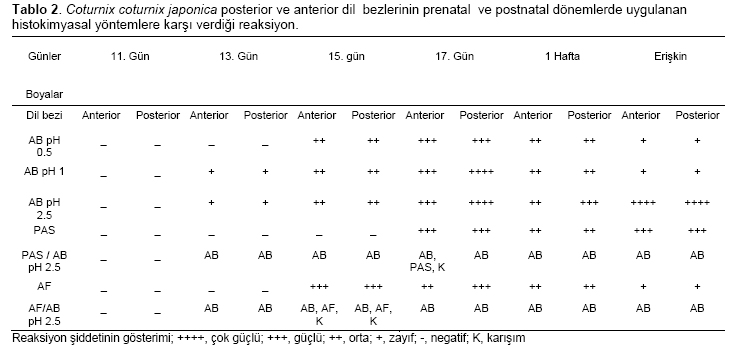 Table 2