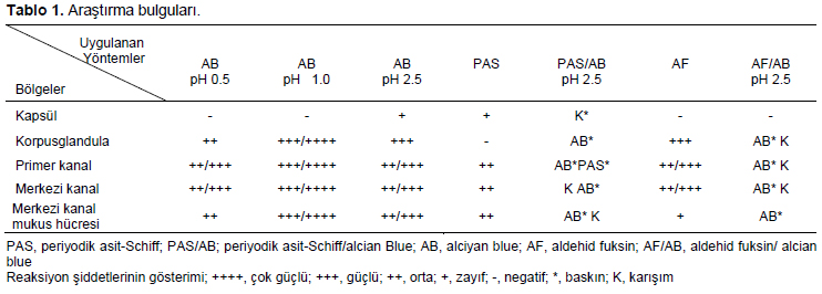Table 1
