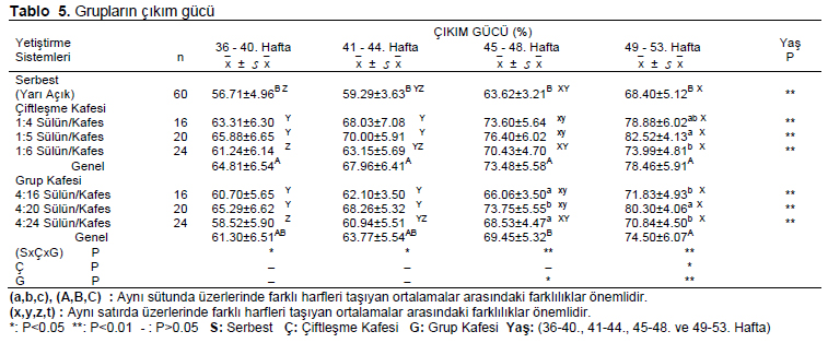 Table 5