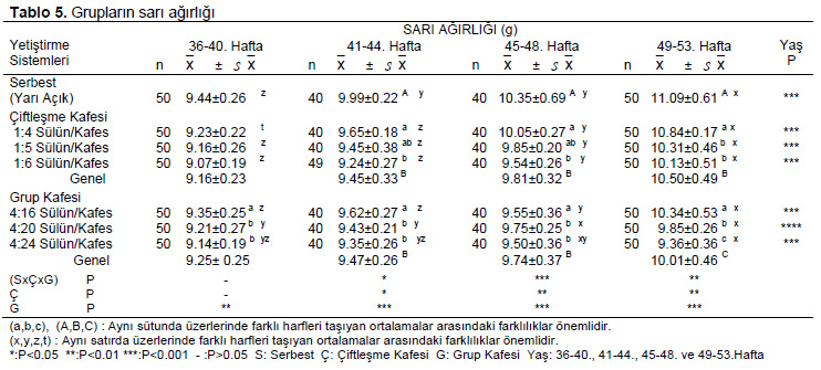 Table 5