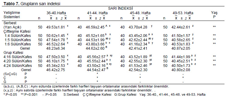 Table 7