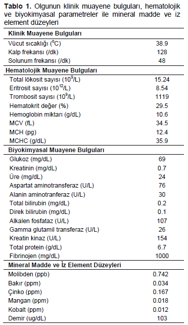 Table 1