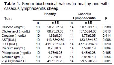 Table 1